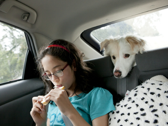 サイトイメージ画像