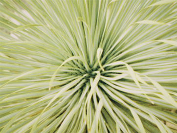 サイトイメージ画像